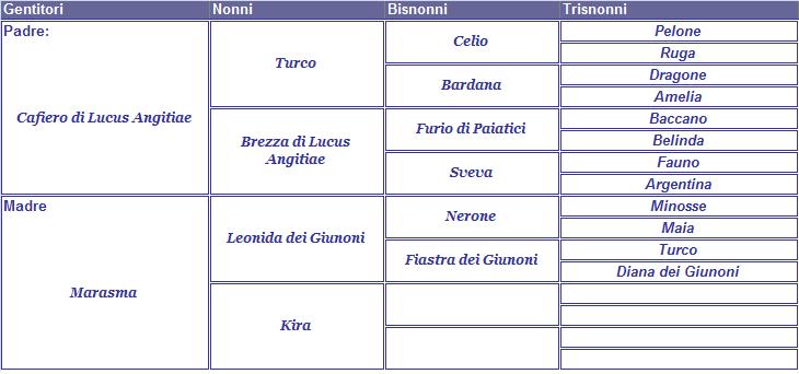 clicca per nascondere il pedigree