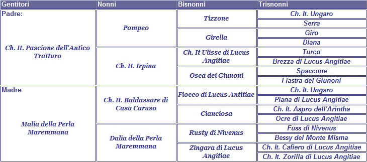 clicca per nascondere il pedigree