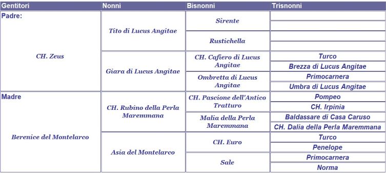 clicca per nascondere il pedigree