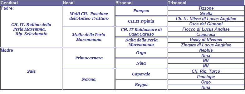 clicca per nascondere il pedigree