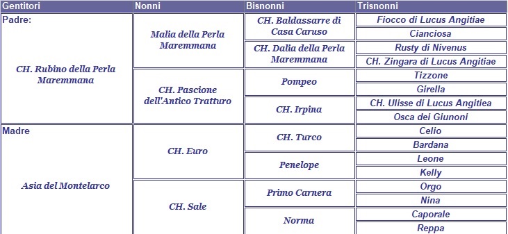 clicca per nascondere il pedigree