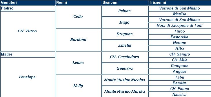 clicca per nascondere il pedigree