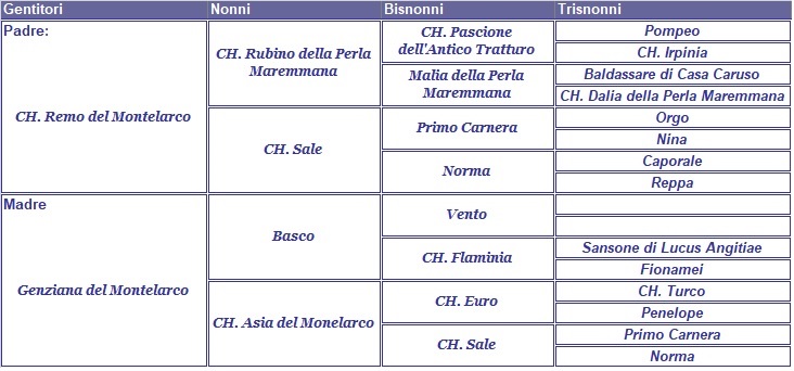 clicca per nascondere il pedigree